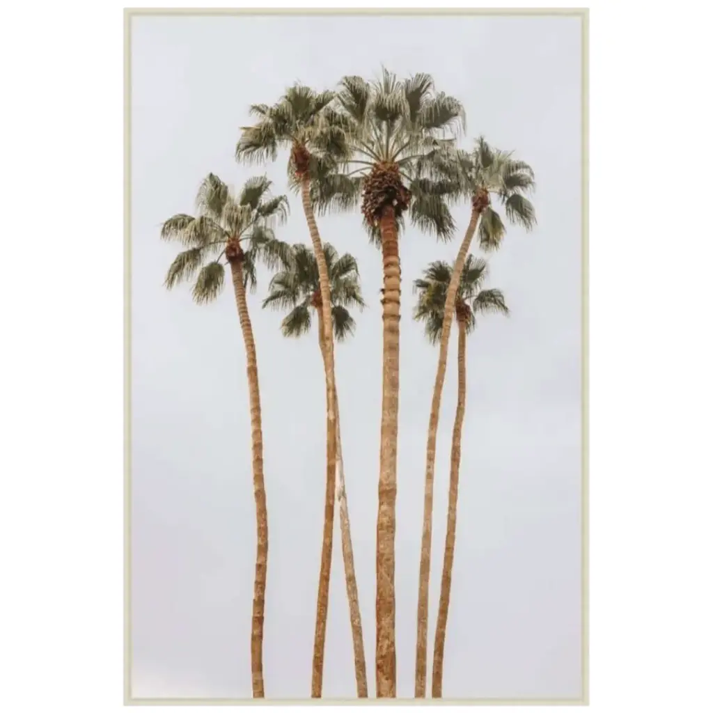 Palm Haze II Tempered Glass 24x36in