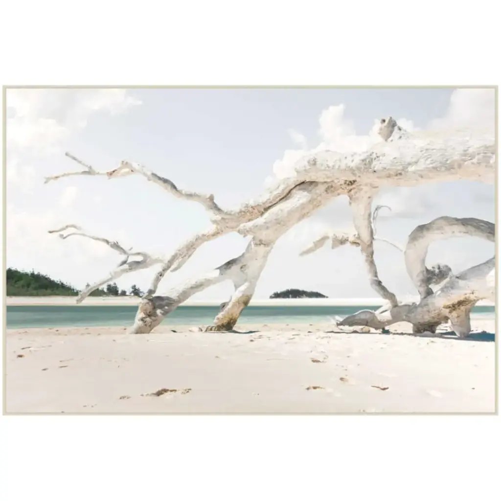 Driftwood Tempered Glass Art 40x60in
