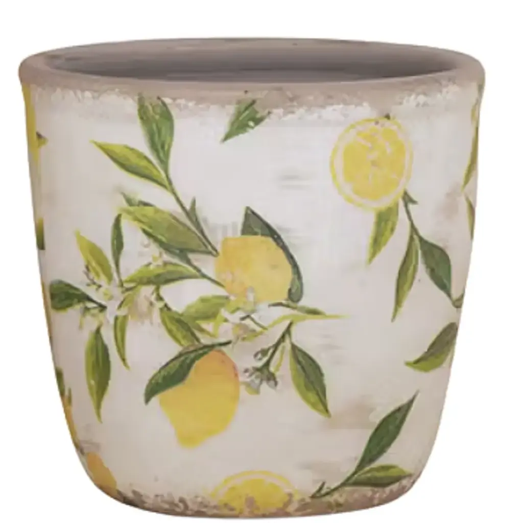 Lemon Motif Planters 6.3in
