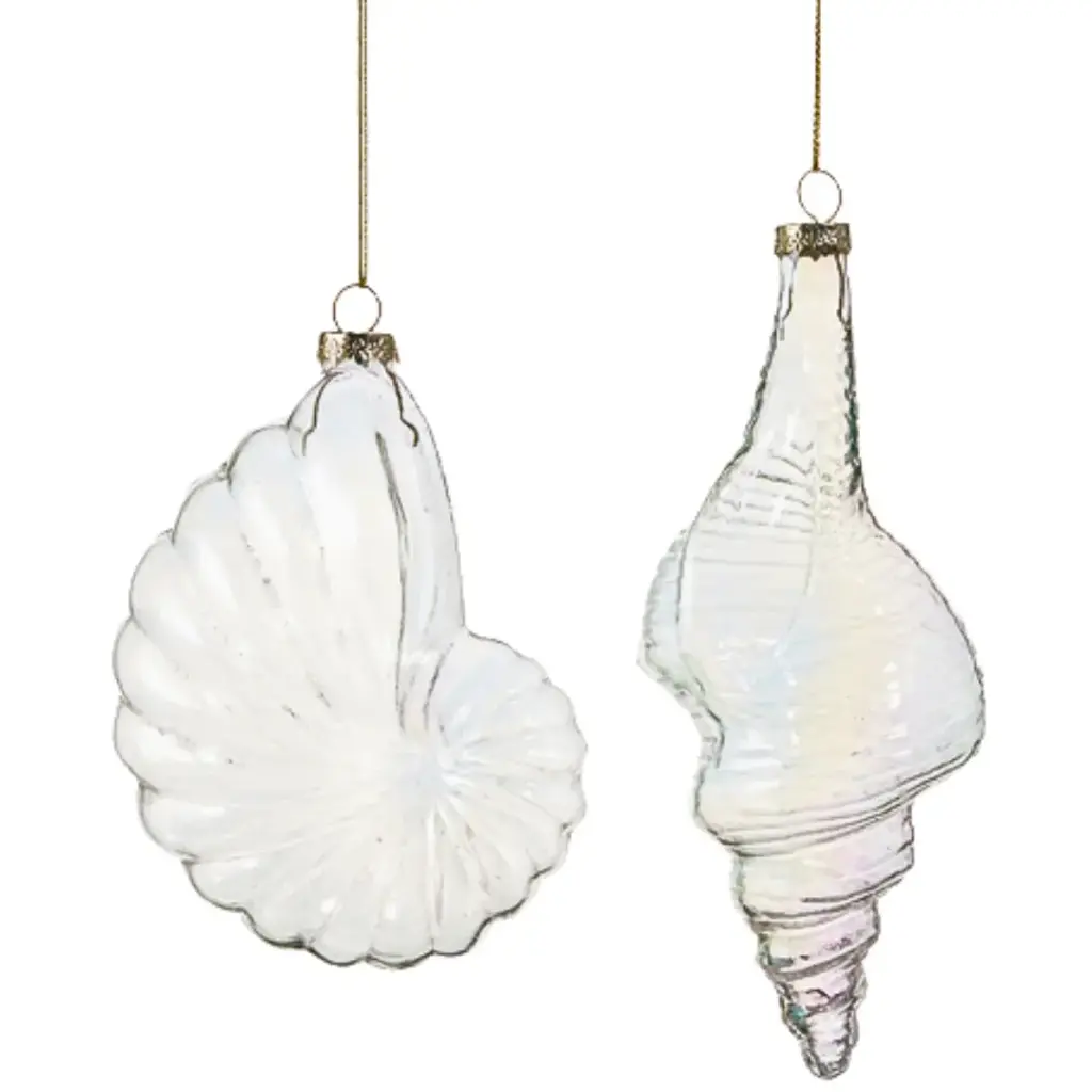 Iridescent Sea Shell Ornament Assorted 7in