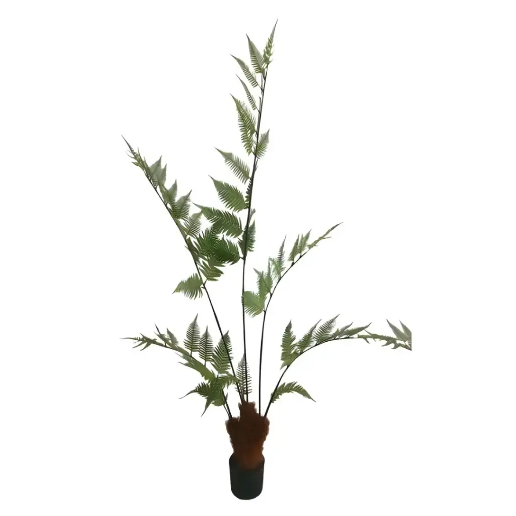 Fern Tree 6.11ft