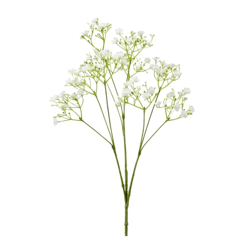 Gypsophila Spray White 27in