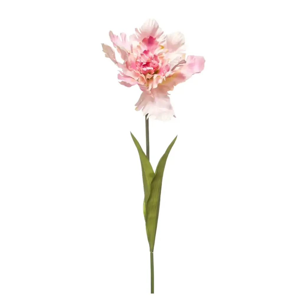 Tulip Parrot Spray Pink 27in