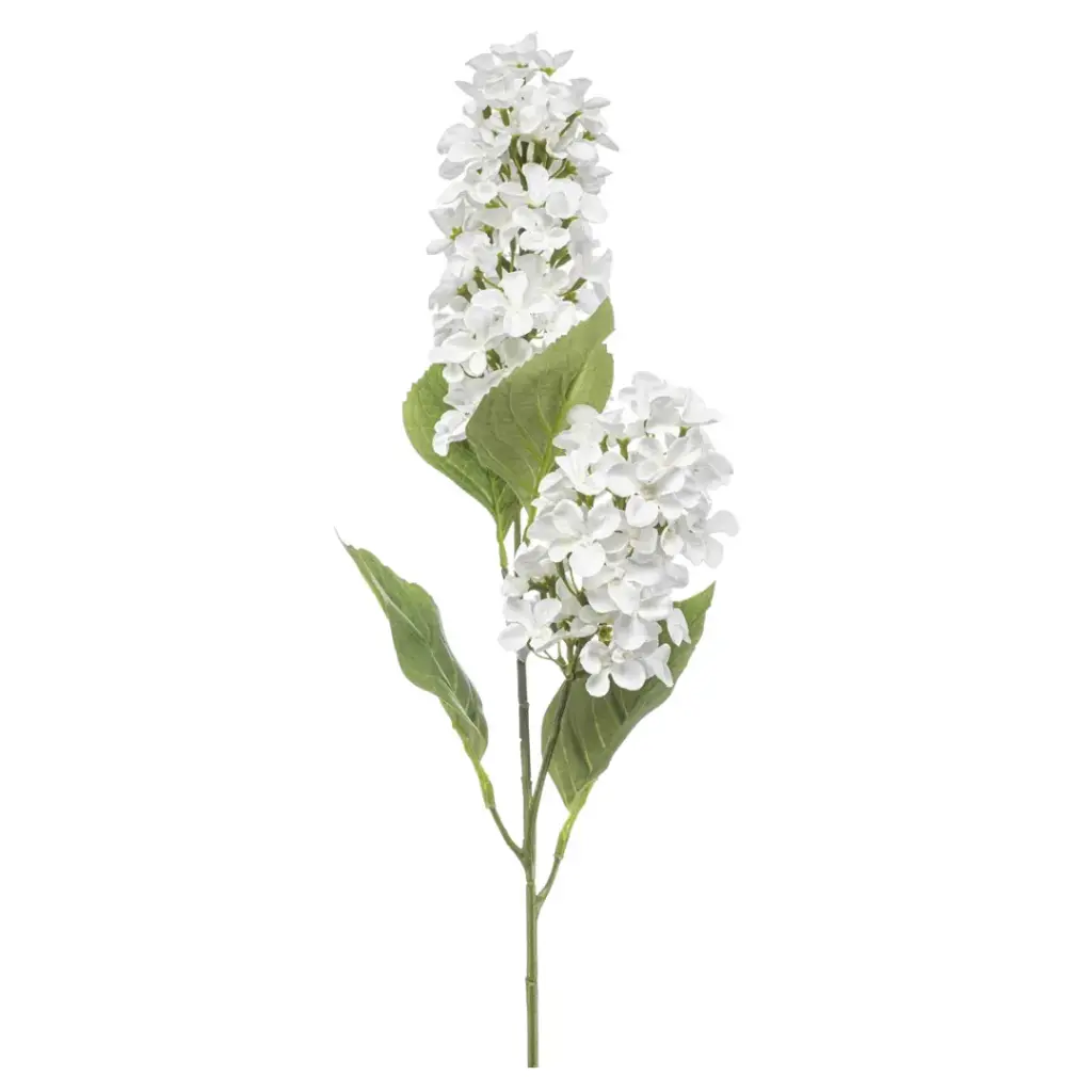 Hydrangea Paniculata Spray White 30in