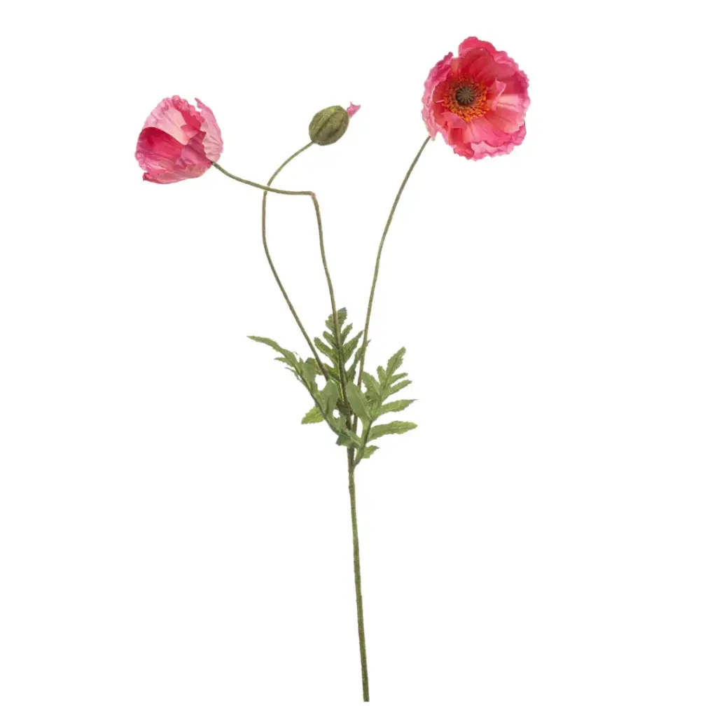 Poppy Spray Pink 30in