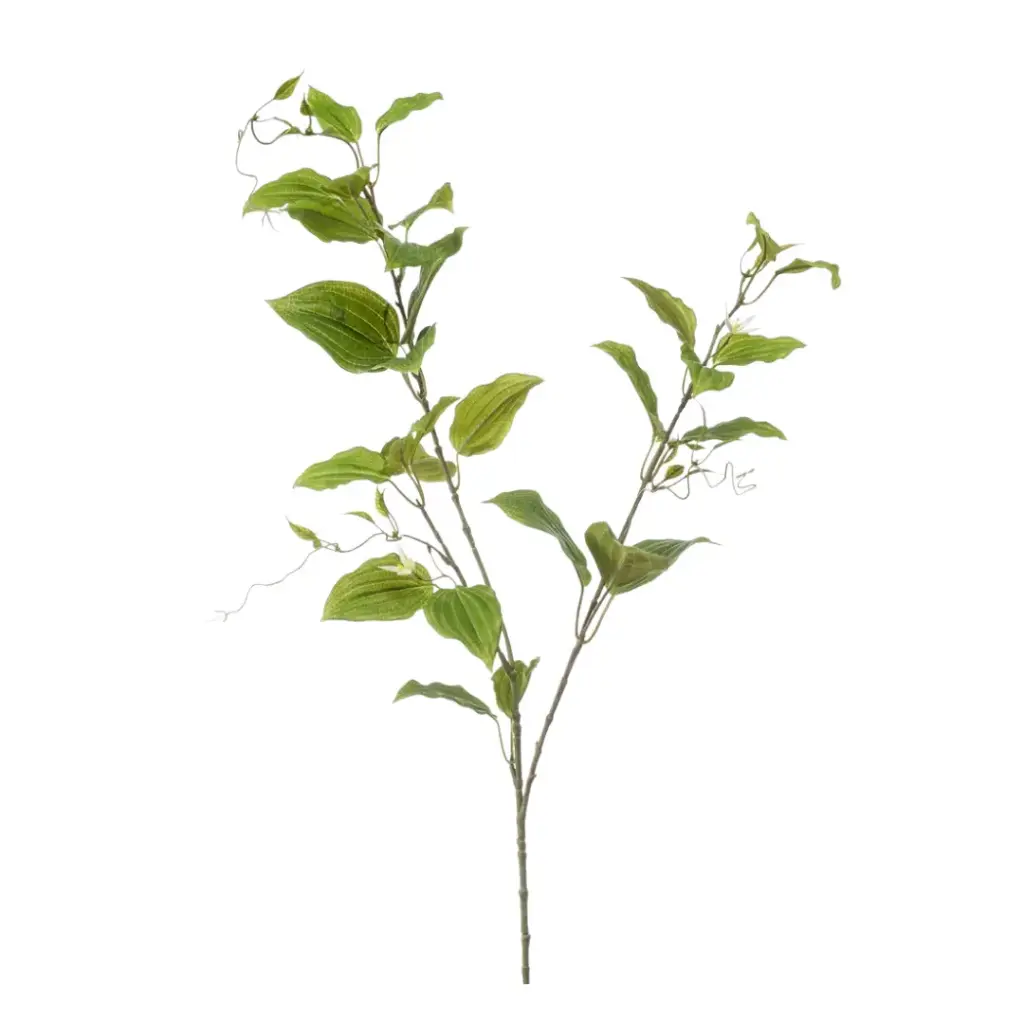 Clematis lvs Spray Green 41in