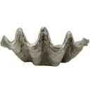 Shell Bowl Silver 22x10in