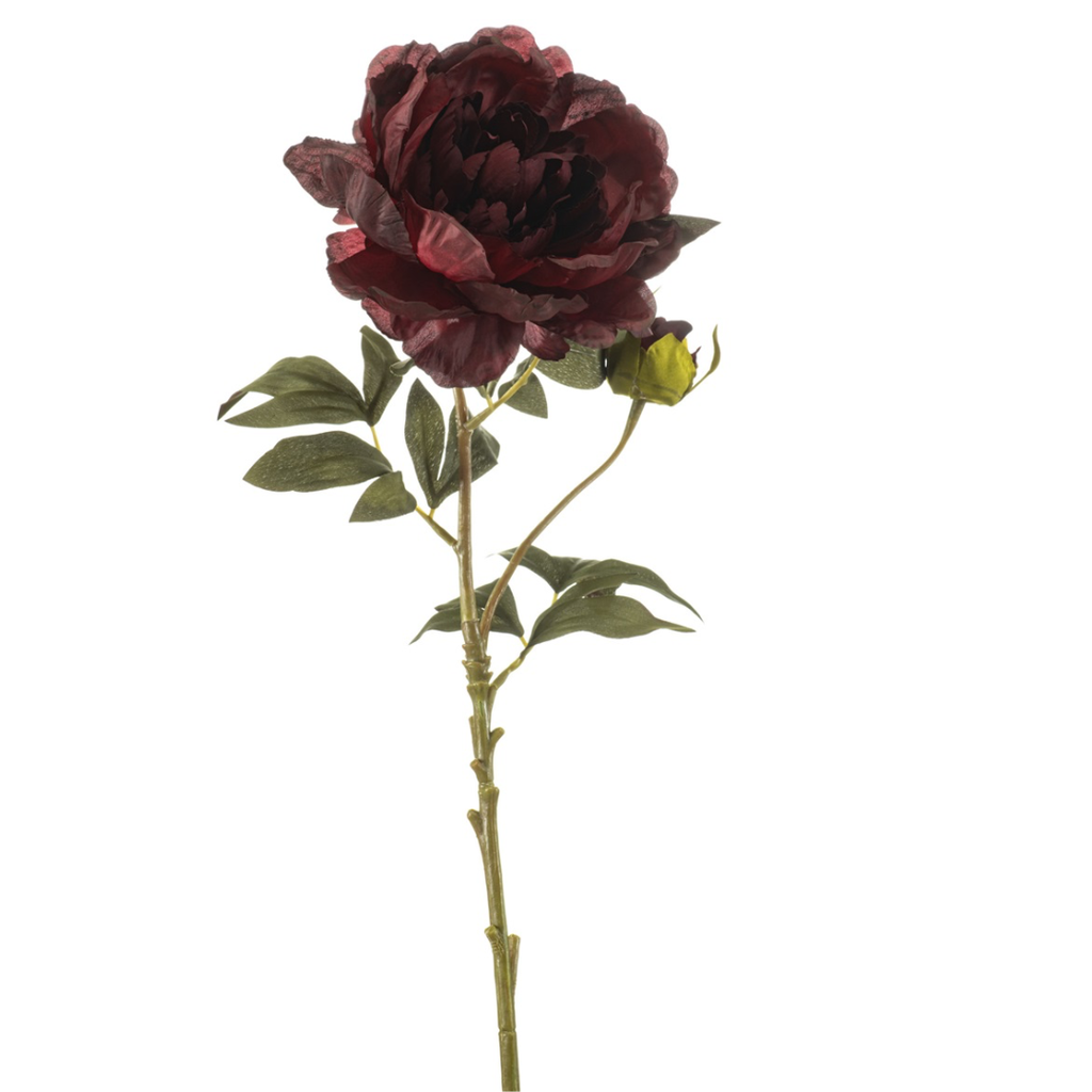 Peony Spray Burgundy 30in