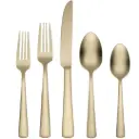 Oneida Aptitude Champagne Satin Flatware Set 20pc