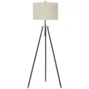 Cashner Floor Lamp