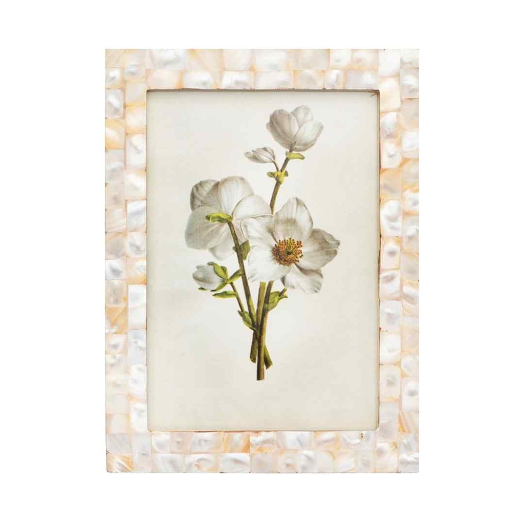 Mother of Pearl Photo Frame 5in x 7in