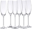 Lenox Tuscany Champagne Party Flute 6pc