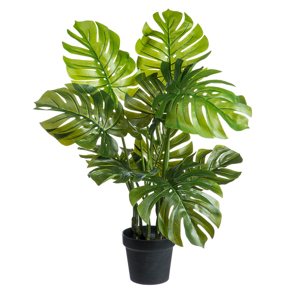 Monstera Potted Plant 26in