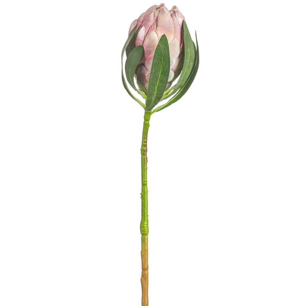Protea Bud Spray Pink 19in