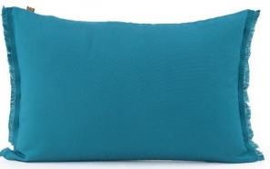 Bimini Blue Outdoor Pillow 16x24in