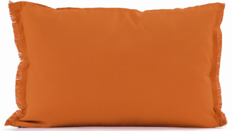 Bimini Orange Outdoor Pillow 16in x 24in