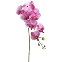 Phalaenopsis Orchid Spray Fuschia 40in