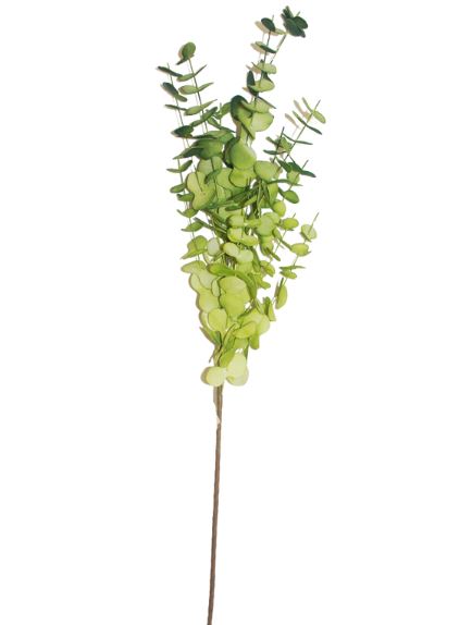 Eucalyptus Green Stem 40in