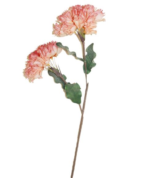 Carnation Pink/Cream Stem 46in