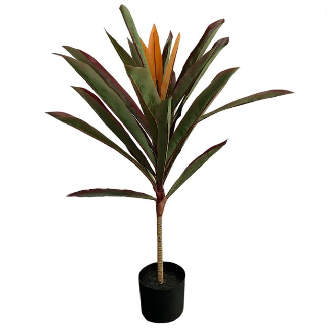 Brazilian Iron Plant Red & Green 33in
