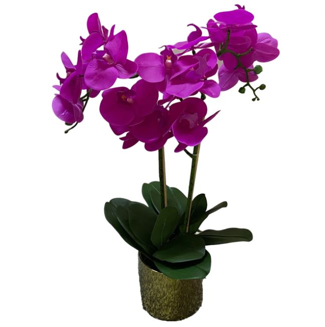 Pink Phalaenopsis Orchid in Gold Pot 19in