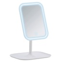 Bertiolo LED Standing Mirror