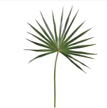  Fan Palm Spray 28in