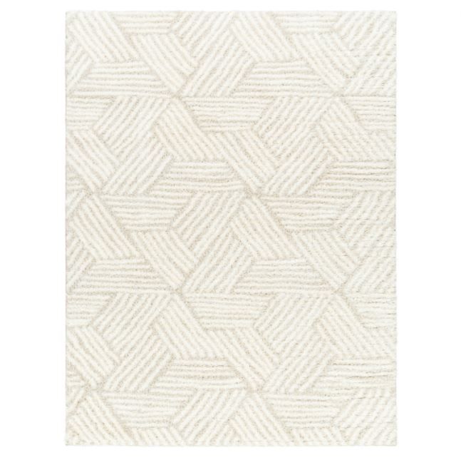 Cloudy Shag Rug 5x7