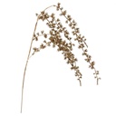 Leaf Spray with Glitter Champagne 20in