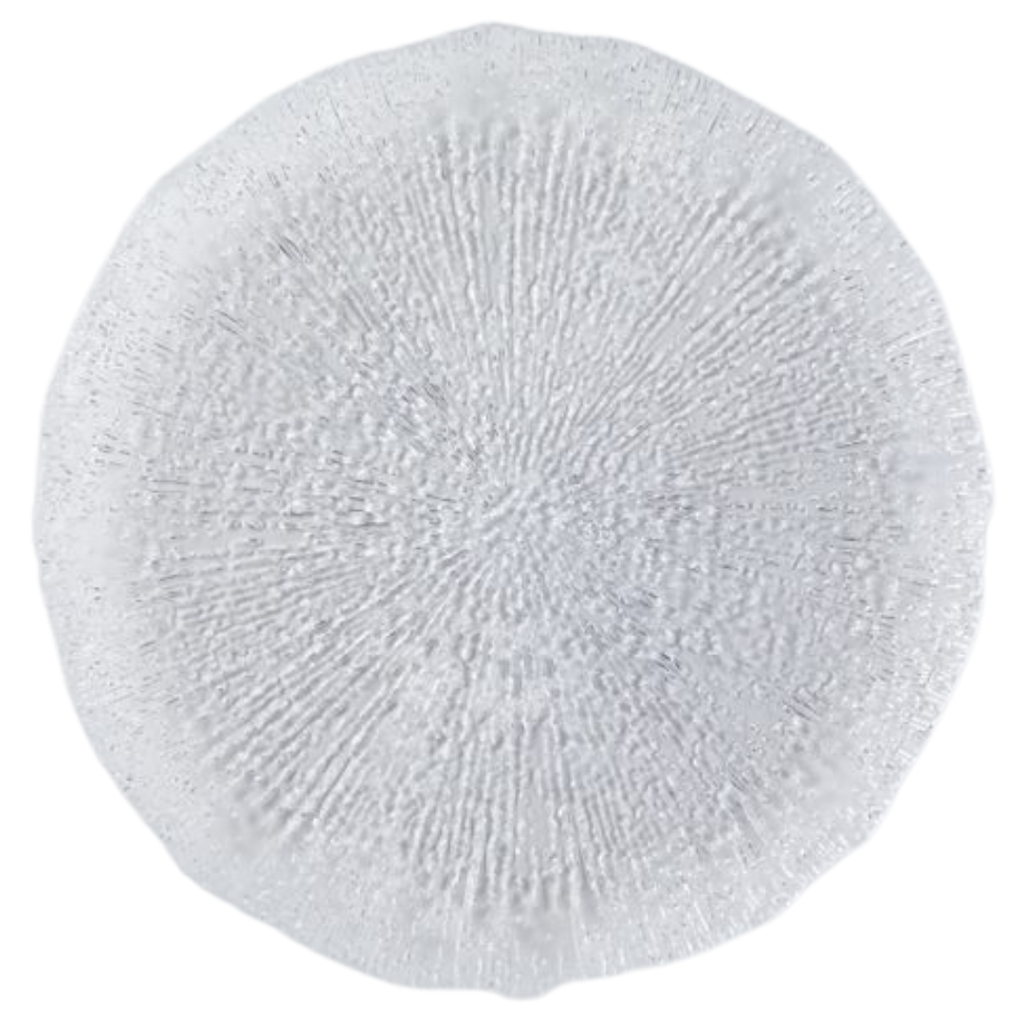 Rio Clear Dinner Plate