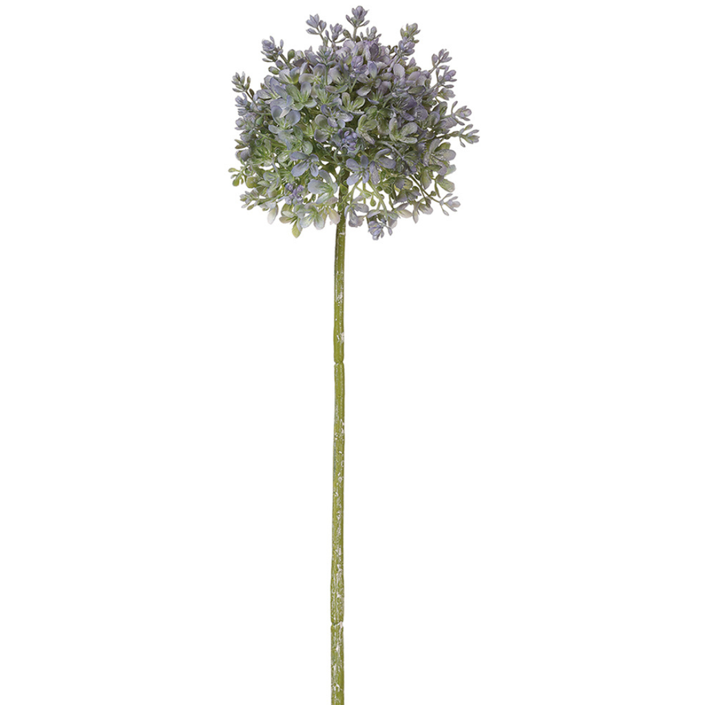 Allium Spray Blue 26in