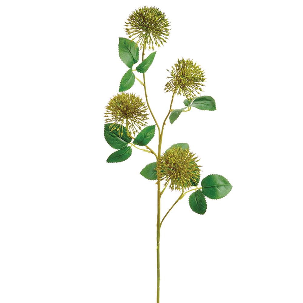 Allium Spray Green 29in