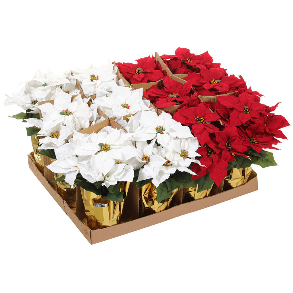 Poinsettia Bush Assorted 15in
