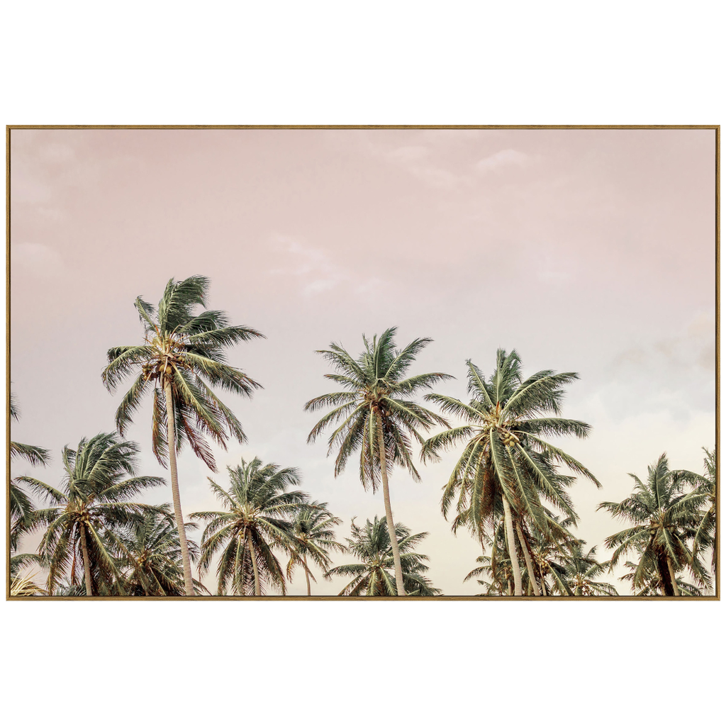 Evening Canopy Framed Print on Tempered Glass 60WX40H