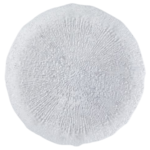 [171224-TT] Rio Clear Dinner Plate