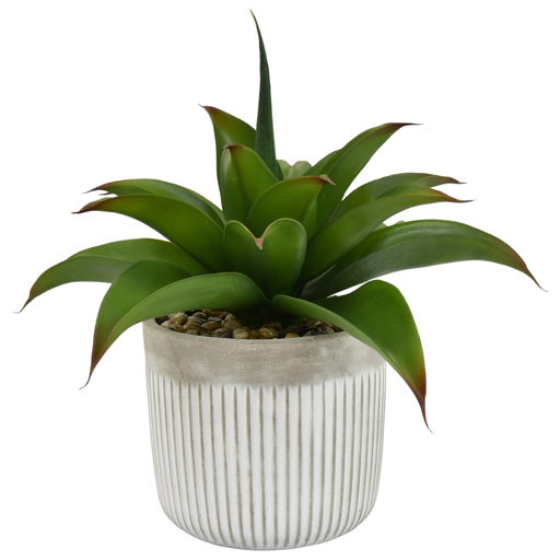 [171308-TT] Succulent in Decorative Pot 16in