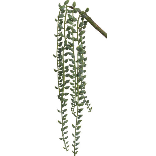 [171432-TT] Senecio Vine 16in