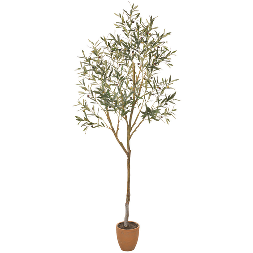 [171436-TT] Olive Tree in Cement Pot 84in