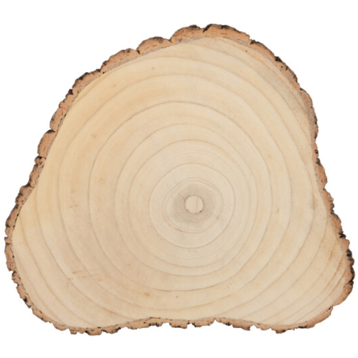[171661-TT] Natural Bark Disc 