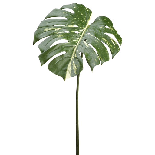 [171871-TT] Philodendron Spray Green 23in