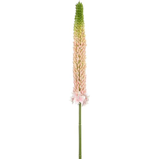 [171875-TT] Foxtail Lily Spray Pink 33in