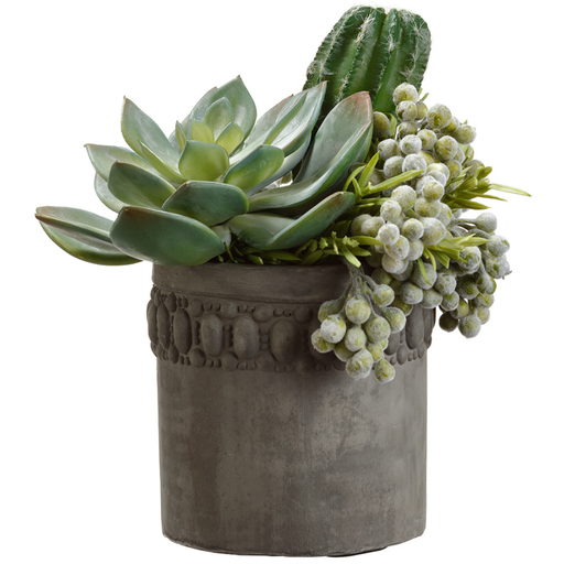 [171876-TT] Echeveria & Cactus in Cement Pot 9in