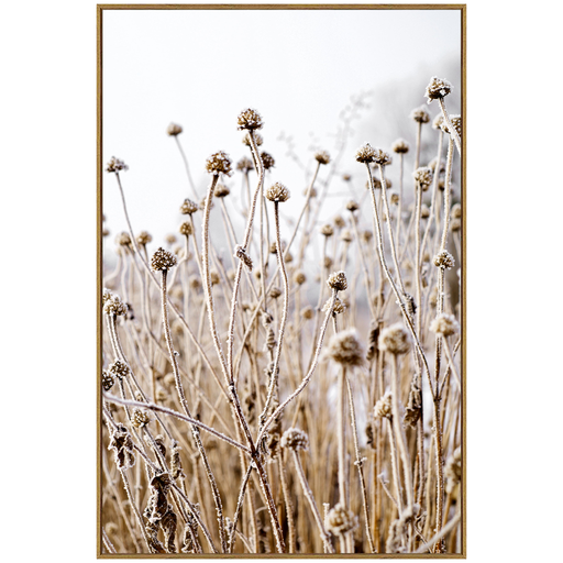 [172074-TT] Summertime Framed Canvas 24x36in