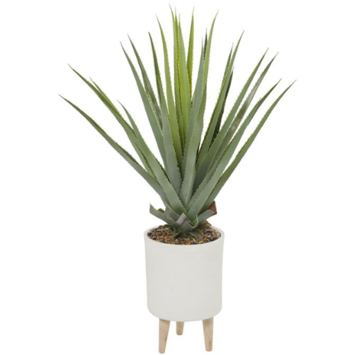 [173681-TT] Aloe in White Footed Planter 42in