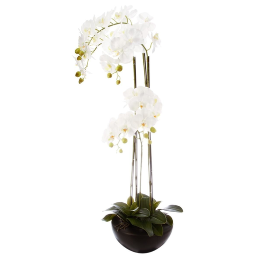 [173818-TT] White Orchid in Black Ceramic Pot 115cm