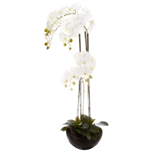 [173818-TT] White Orchid in Black Ceramic Pot 45in