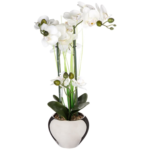 [173765-TT] White Orchid in Silver Pot 53cm