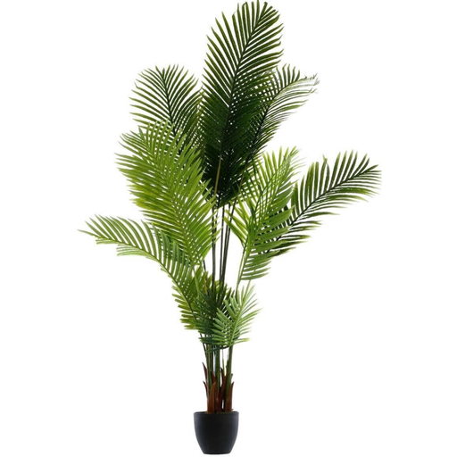 [173767-TT] Palm Tree in Pot 67in