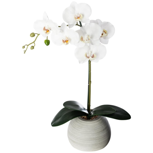 [173785-TT] White Orchid in Cement Pot 21in