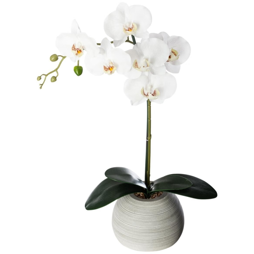 [173785-TT] White Orchid in Cement Pot 53cm